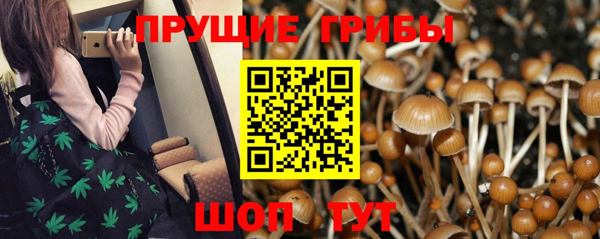 Георгиевск  Псилоцибиновые грибы Cubensis  Вход с VPN  Галлюциногенные грибы ЛСД 