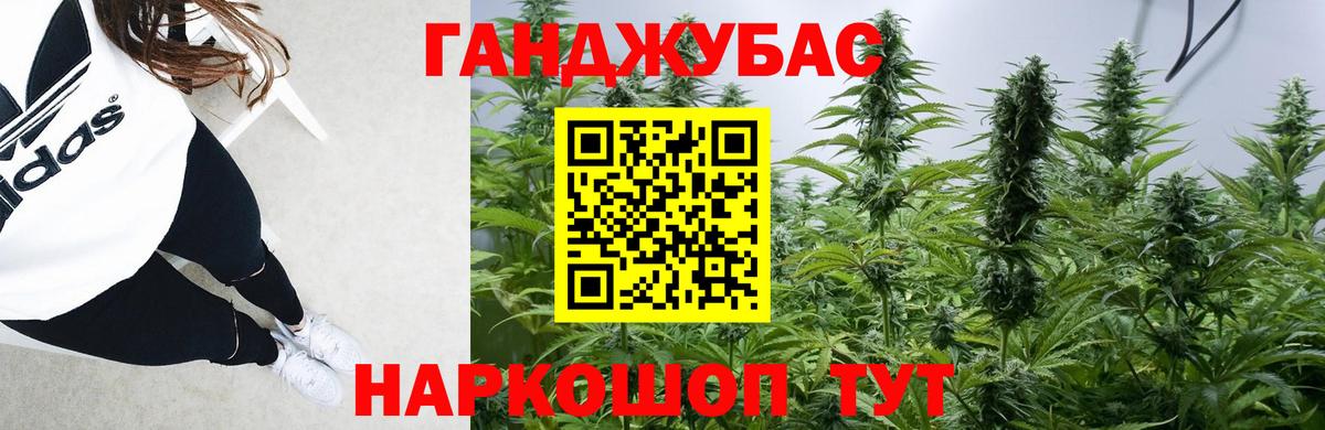 Каннабис ГИДРОПОН  Марихуана LSD WEED  Вход с VPN  Шишки марихуана планчик  Георгиевск 